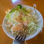 インディアン・レストラン　ロタ - サラダ