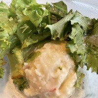 LITORANEO - 