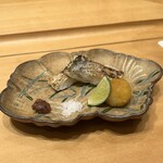 鮨 匠海 - 千葉県竹岡の太刀魚