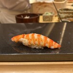 鮨 匠海 - 車海老