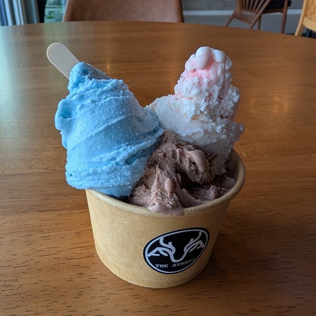 2025.7.24グランドオープン、ステキなロケーションのジェラート屋さん