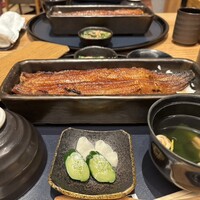 うなぎ四代目菊川 ミッドランドスクエア 名古屋本店 - 