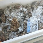 はまなす物産センター - 