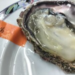 はまなす物産センター - 