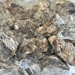 はまなす物産センター - 