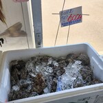 はまなす物産センター - 