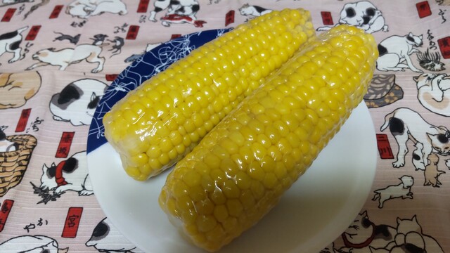 兄弟屋 - 象潟（その他）の写真