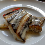 アプランティ - イサキ別アングル