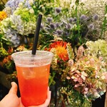 ジャルダン ノスタルジック - 