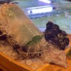いけす無門 - 