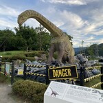 シュガーバターの木 - 