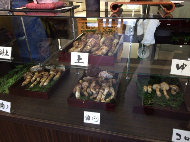 浅井商店 name=