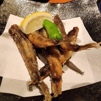 寅八商店 心斎橋店 - メヒカリの唐揚げ