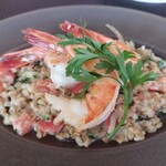 CICADA - 海老のロースト、ファロと舞茸のクリームリゾット