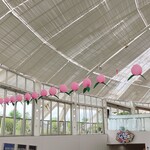 八珍果プラス - 