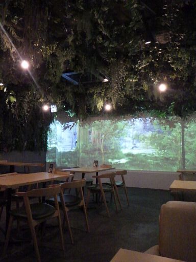 aruhi_morinonaka photo 4