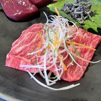 PONGA PREMIUM - 