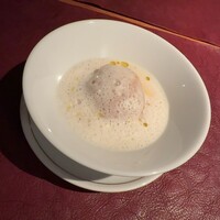 Potoro - 
