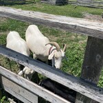 イニュニックビレッジ - 