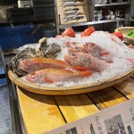 魚貝三昧 げん屋 - カウンター