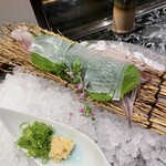 魚貝三昧 げん屋 - 剣先イカの姿造り