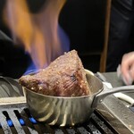 TOKYO焼肉ごぉ - 