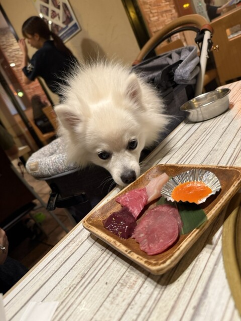 Ushisuke Hon Ten photo