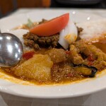 トプカ - インド風ポークカレーは野菜もたっぷり入ってます。