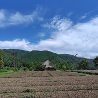 伊勢宮川の里 鄙茅 - 
