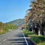 喫茶 ダイヤモンドヘッド - ♦︎房総フラワーライン・・ガス欠したルノーを広海都が押して帰る道路