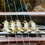 柚木元 - ⑤【鉢肴-1】
      天龍鮎の塩焼き