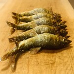 柚木元 - ⑤【鉢肴-1】
      天龍鮎の塩焼き