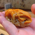 鮨処 凜 - ウニ♩