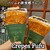Crepes Fufu - 料理写真: