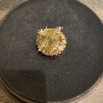 レヴォ - 黒文字