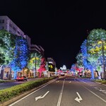 まねきダイニング - 深夜の姫路城とライトアップ