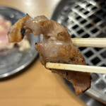 鳥焼肉 鳥ひびきちゃん - 