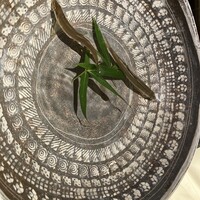 割烹 きさら - 