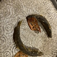 割烹 きさら - 