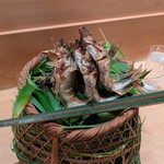 是しん - 鮎塩焼き