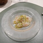 K+ - ひらめカルパッチョ