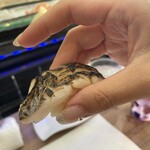 すし処金太郎 - 