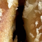 ちくま川パン工房 - 