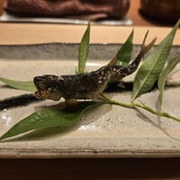 料理屋まえかわ - 