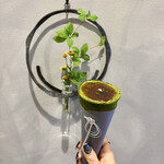 浅草茶屋たばねのし 大阪心斎橋店 - 