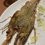 ワイン食堂 ホオバール - 