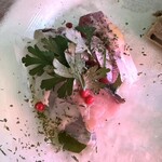 Trattoria SCENA - カルパッチョ