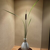 櫻木 - 
