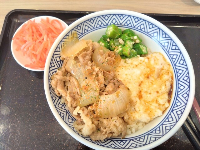 Yoshinoya Oumekaido Oumeshinmachi Ten