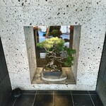311113438 - 盆栽